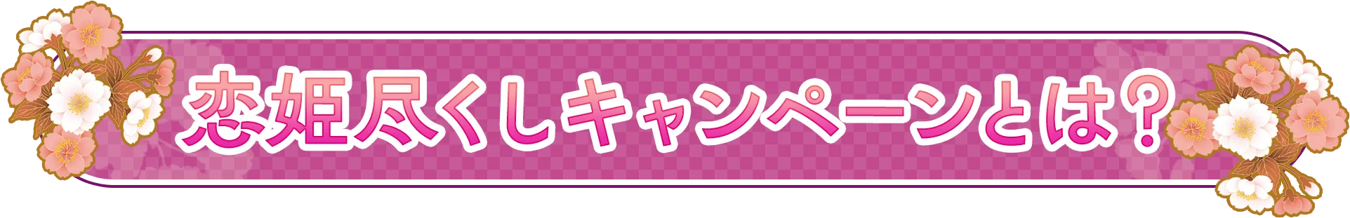 恋姫尽くしキャンペーンとは？